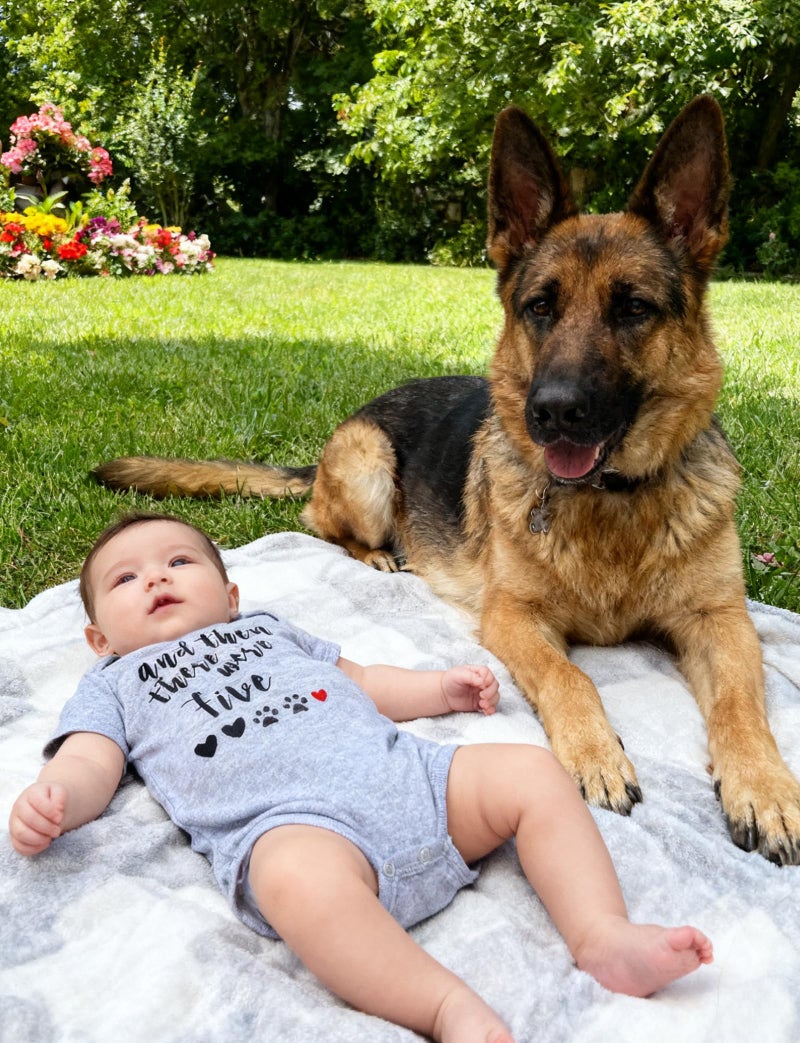 BFUSTYLE Infant Baby Boys Girls Unisex Pregnancy Reveal Bodysuit And Then There Were 5 Paws Sports Romper Solid Cotton Summer Footprint One-Piece Jumpsuit Sunsuit 1/2 Birthday Romper With 3-6 Months - Image 2